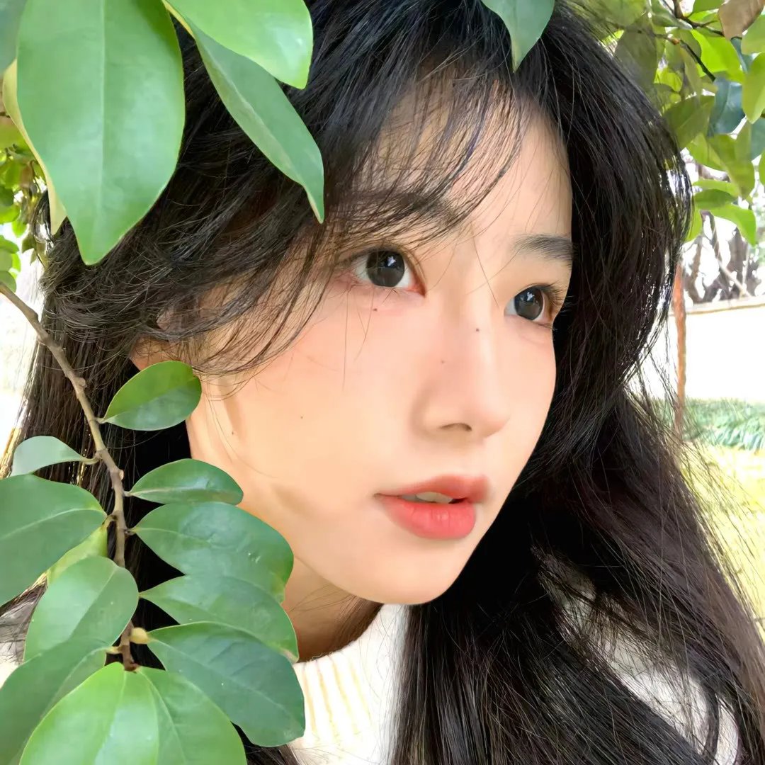 幕后枭雄第一季